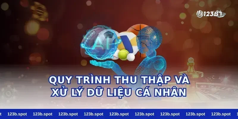 Quy Trình Thu Thập Và Xử Lý Dữ Liệu Cá Nhân