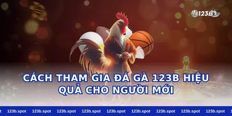 Cách tham gia đá gà 123b hiệu quả cho người mới