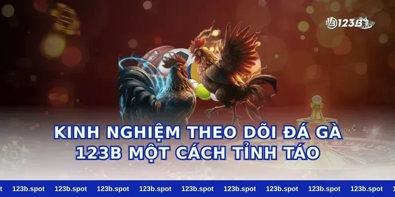 Kinh nghiệm theo dõi đá gà 123b một cách tỉnh táo