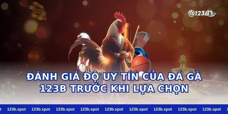 Đánh giá độ uy tín của đá gà 123b trước khi lựa chọn